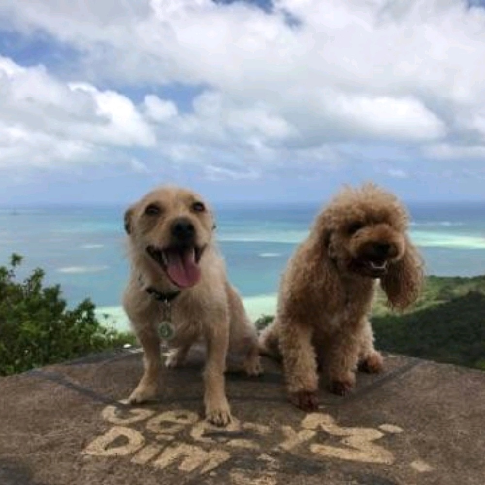 Meet your Posher, Jason